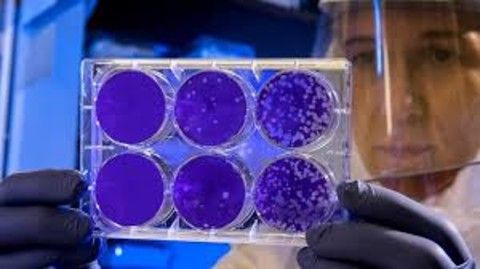 Coronavirus: sono 5767 le persone positive in Piemonte. 403 i deceduti