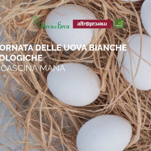 Una gustosa giornata dedicata alle uova bianche bio di Cascina Mana al NaturaSì di corso Torino