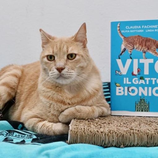 Villanova: la storia di Vito &quot;il gatto bionico&quot; diventa un libro sull'amicizia che non conosce diversità