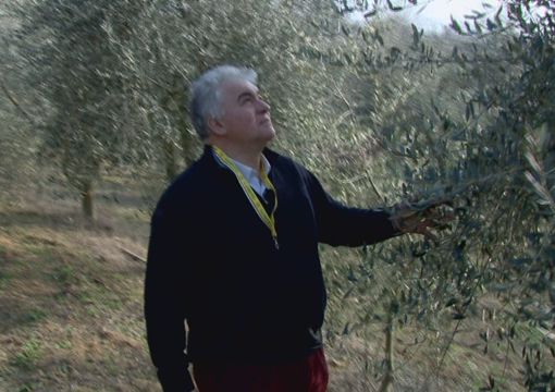 Da Patro, l’olio extra-vergine di oliva del Monferrato nelle tavole internazionali