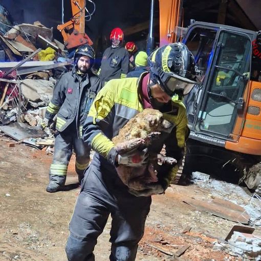 Le operazioni di salvataggio di ieri sera