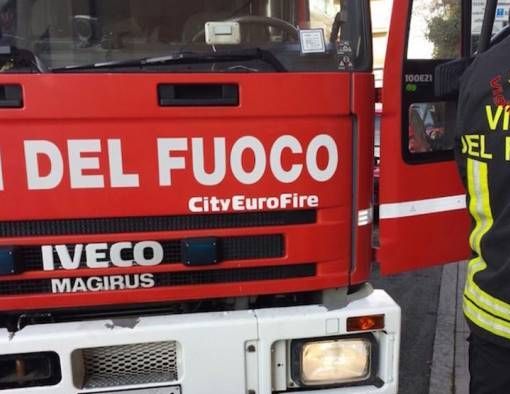 La pioggia incessante &quot;abbatte&quot; un albero in Torretta. Colpita un'auto