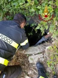 Immagine di repertorio