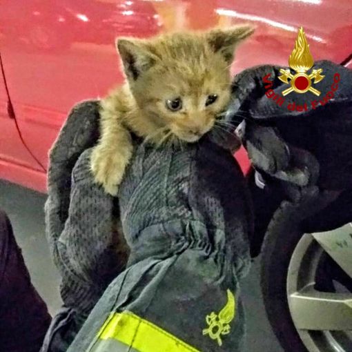 Immagine di repertorio non riferita allo specifico episodio (Vigili del fuoco)