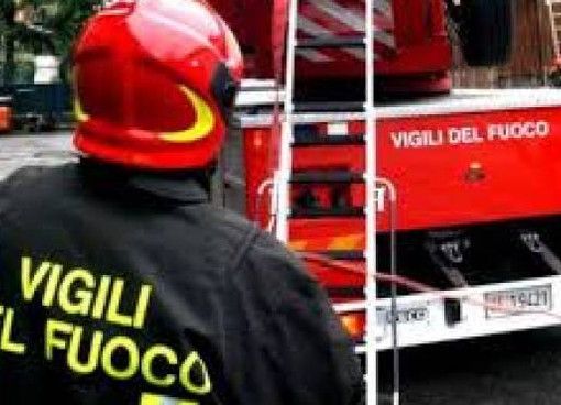Costigliole d'Asti: i vigili del fuoco hanno salvato 4 mucche finite in un canale