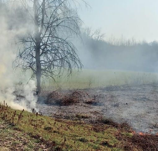 Tre incendi sterpaglie nel pomeriggio a Viarigi nei pressi di un bosco