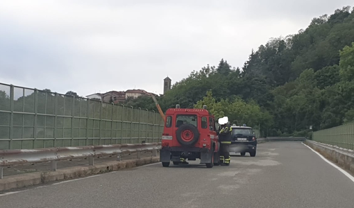 Foto NewsBiella