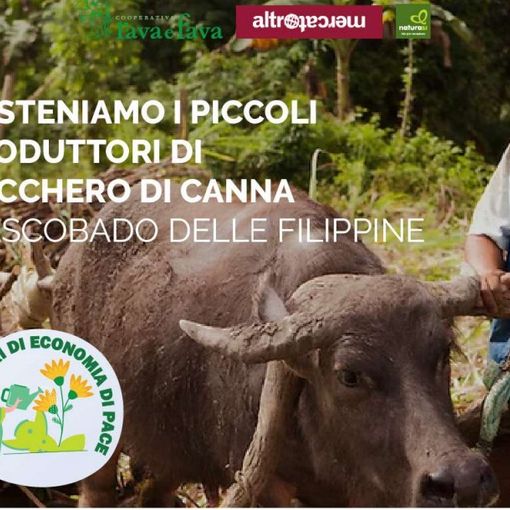 Alla Rava e Fava di Asti, a maggio, fioriscono gli eventi