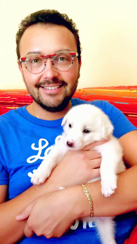 Tobia, pastore maremmano di quaranta giorni salvato da &quot;Echi d'Infinito&quot; aiuterà i disabili