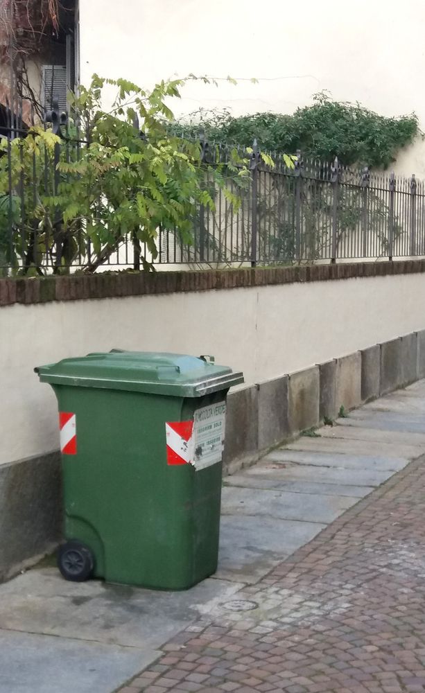 Riprende la raccolta del verde da lunedì 17 febbraio