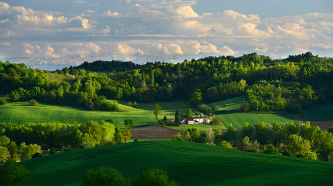 Un bellissimo scatto di natura Astigiana ritratta dal fotografo Enzo Isaia Un bellissimo scatto di natura Astigiana ritratta dal fotografo Enzo Isaia