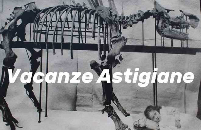 Il rinoceronte ritrovato a Dusino San Michele, custodito al Museo Regionale di Scienze Naturali di Torino