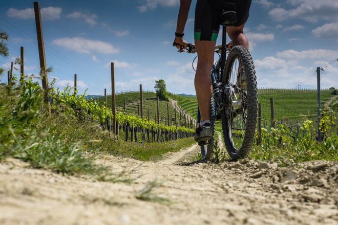 Bicicletta su sterrato Bicicletta su sterrato