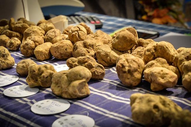 Viviamo in un posto bellissimo e pieno di tartufi