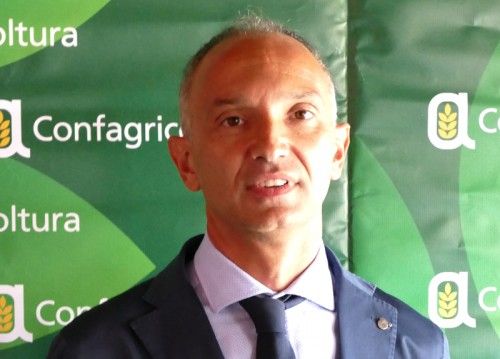 DL Bollette, Confagricoltura lancia l’allarme: a rischio il comparto biogas e biomasse agricole