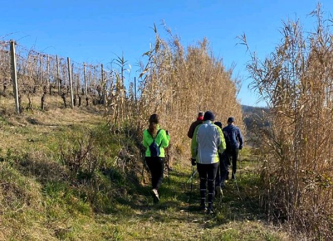 Castelnuovo Calcea, Nizza e Vigliano: le tappe del Nordic Walking in attesa del Natale
