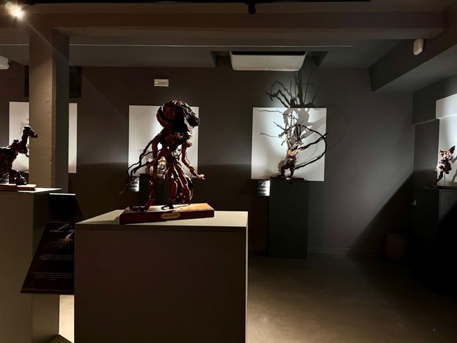 Museo L'Anima del Vino alla Cantina Sociale Barbera dei Sei Castelli di Castenuovo Calcea