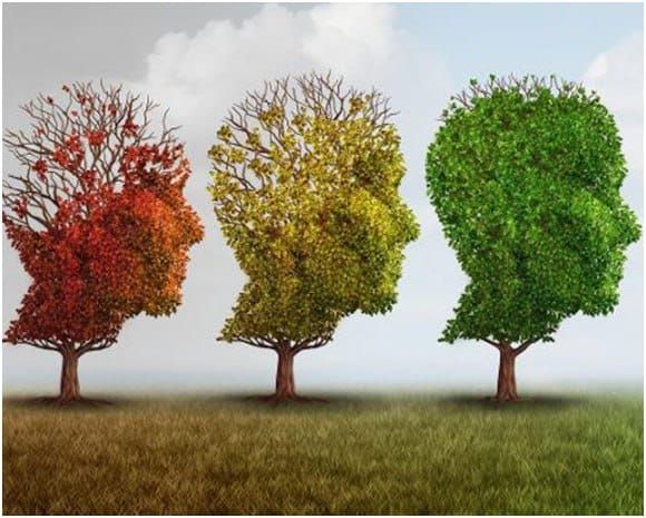 immagine tratta da Google immagine tratta da Google