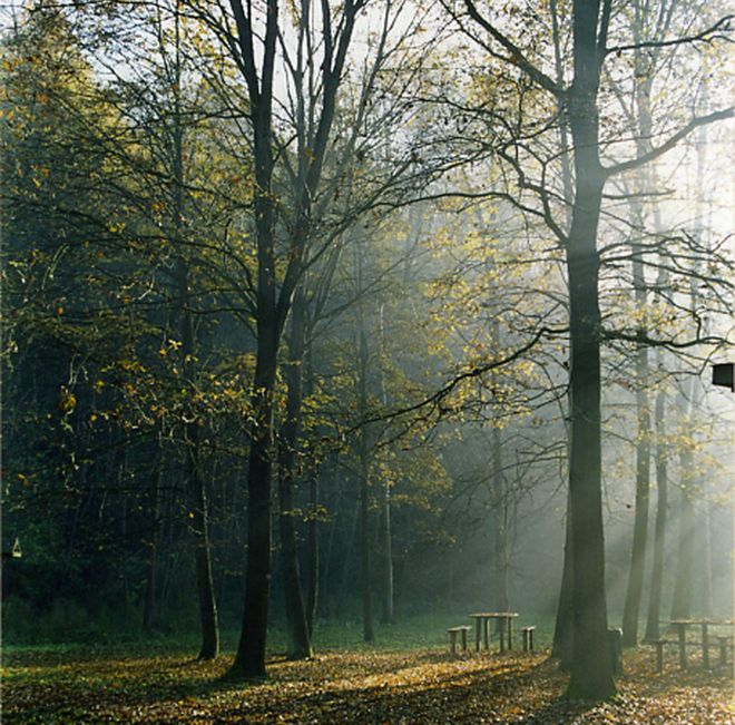 Il Parco di Rocchetta Il Parco di Rocchetta