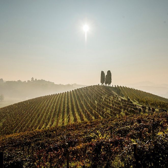 Vacanze Astigiane tra colli vitati e feste del vino