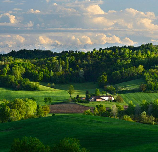 Un bellissimo scatto di natura Astigiana ritratta dal fotografo Enzo Isaia
