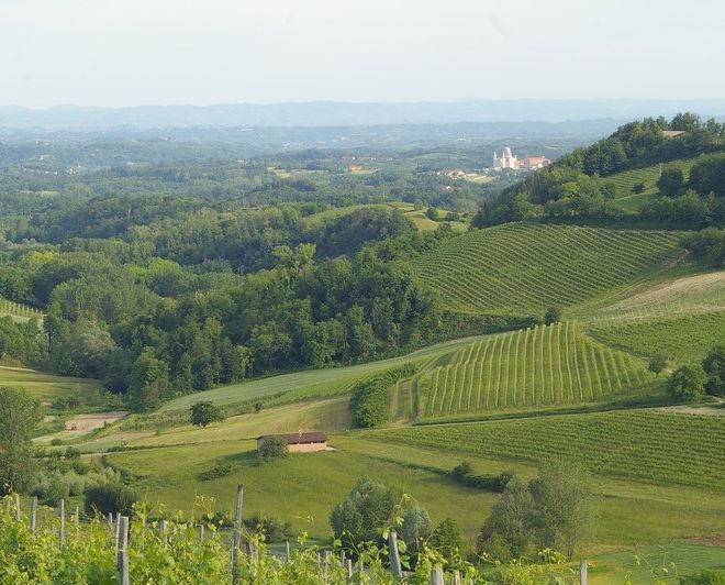 Colline di Albugnano