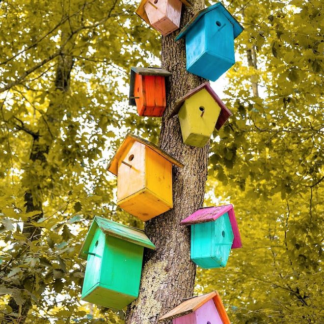 La casetta sull'albero è abusiva!