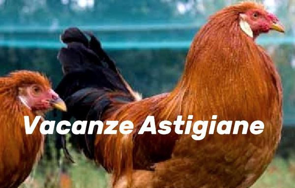 Fine settimana di prelibatezze a base di cappone a San Damiano d'Asti e a Vesime