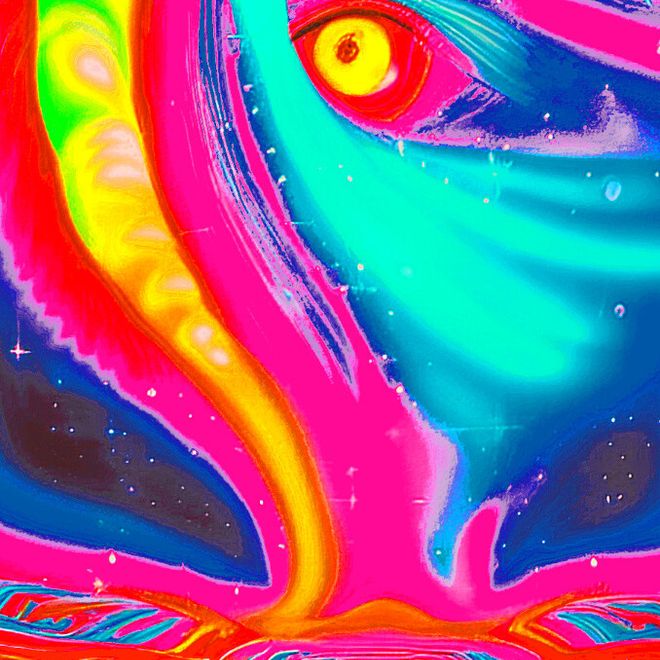 Immagine elaborata da Arena Philosophika