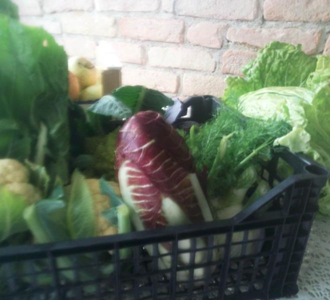 Verdure dell'Astigiano, fotografate a Mombercelli da ContOrto prima che chiudesse
