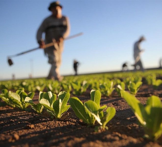 Crescono le imprese astigiane nell'ambito della cooperazione. Settore predominante l'agricoltura con 61 nuove attività
