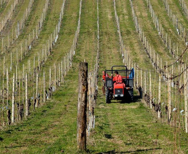 Gasolio agricolo, la richiesta di Coldiretti Piemonte: &quot;Spostare la data della giacenza minima&quot;