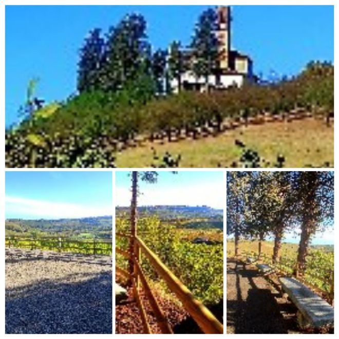 Alcune immagini del Belvedere