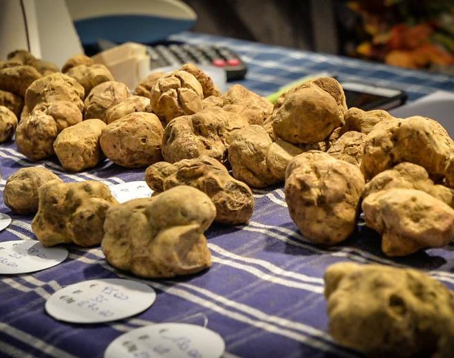 Viviamo in un posto bellissimo e pieno di tartufi