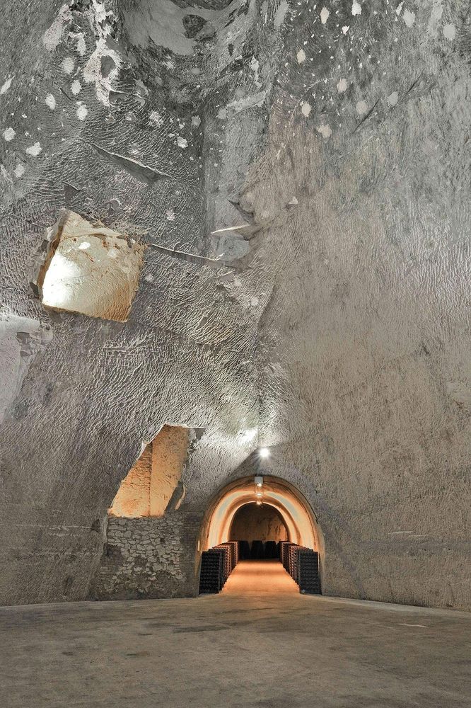 Le imponenti cantine Ruinart a Reims