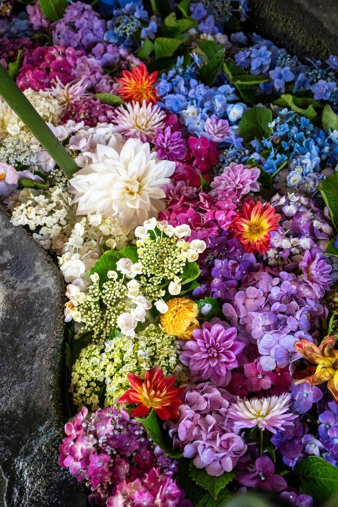 Affrontare la perdita di una persona cara: un dolore profondo e complesso