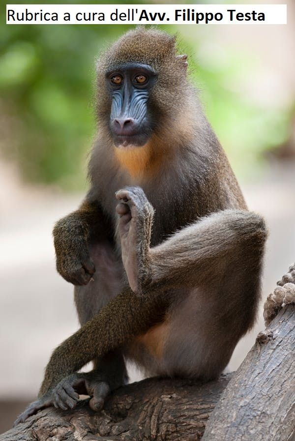 Cos'è l'appropriazione indebita d'uso? Cos'è l'appropriazione indebita d'uso?