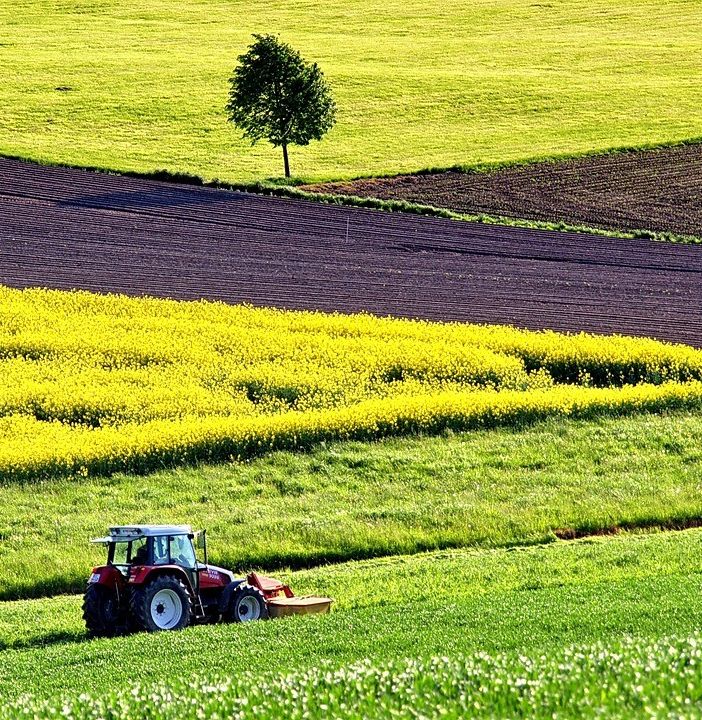 La Commissione propone una revisione mirata della politica agricola comune per sostenere gli agricoltori dell'UE
