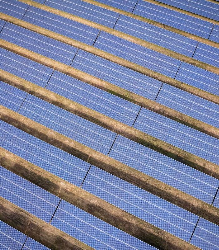 Agrivoltaico: sfatiamo i falsi miti sul Fotovoltaico nei campi