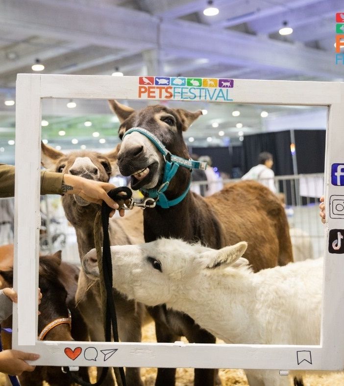 Petsfestival 2024, un evento imperdibile per gli amanti degli animali