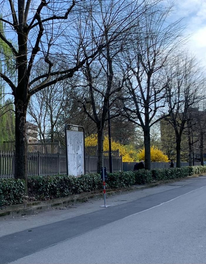 Asti: in corso lavori primaverili sul verde urbano