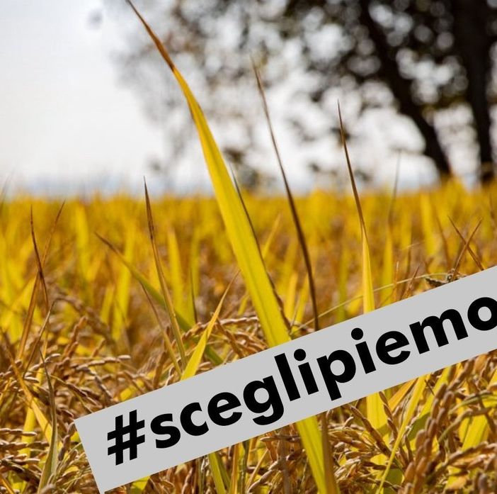 La Regione promuove aziende agricole e prodotti agroalimentari made in Piemonte