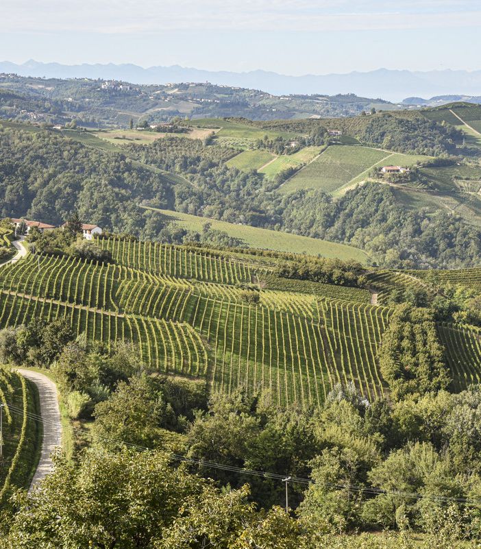 Panorama di Langhe e Roero, foto di Marco Badiani