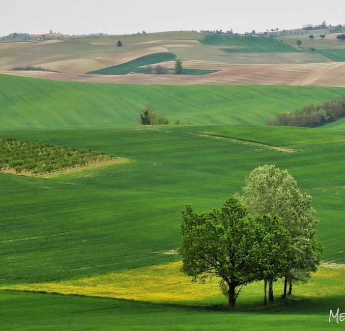Ph Merfephoto - archivio