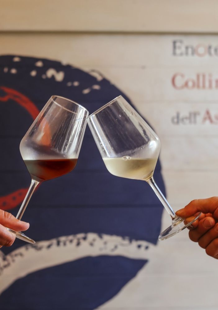 Terre Alfieri Arneis e Terre Alfieri Nebbiolo si presentano al grande pubblico
