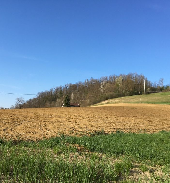 Il campo di Cascina Melona
