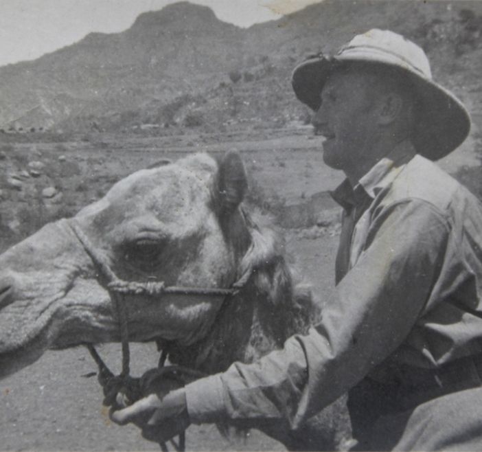 Scagliola sul dromedario nella guerra d'Africa