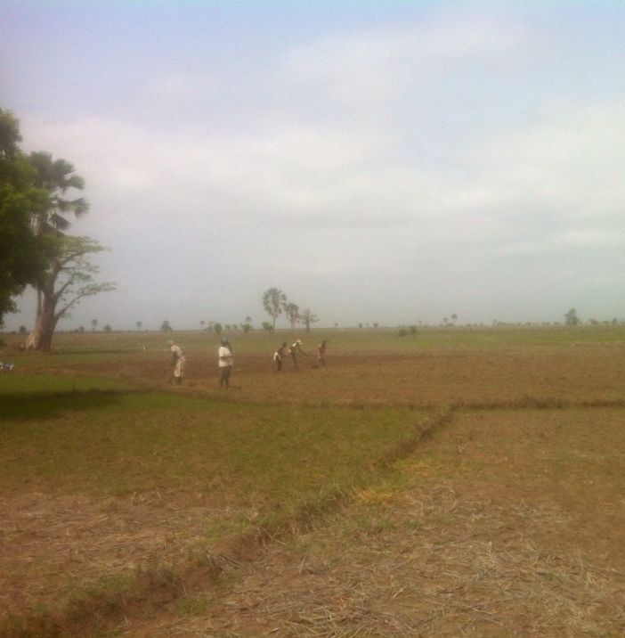 Casamance 2019