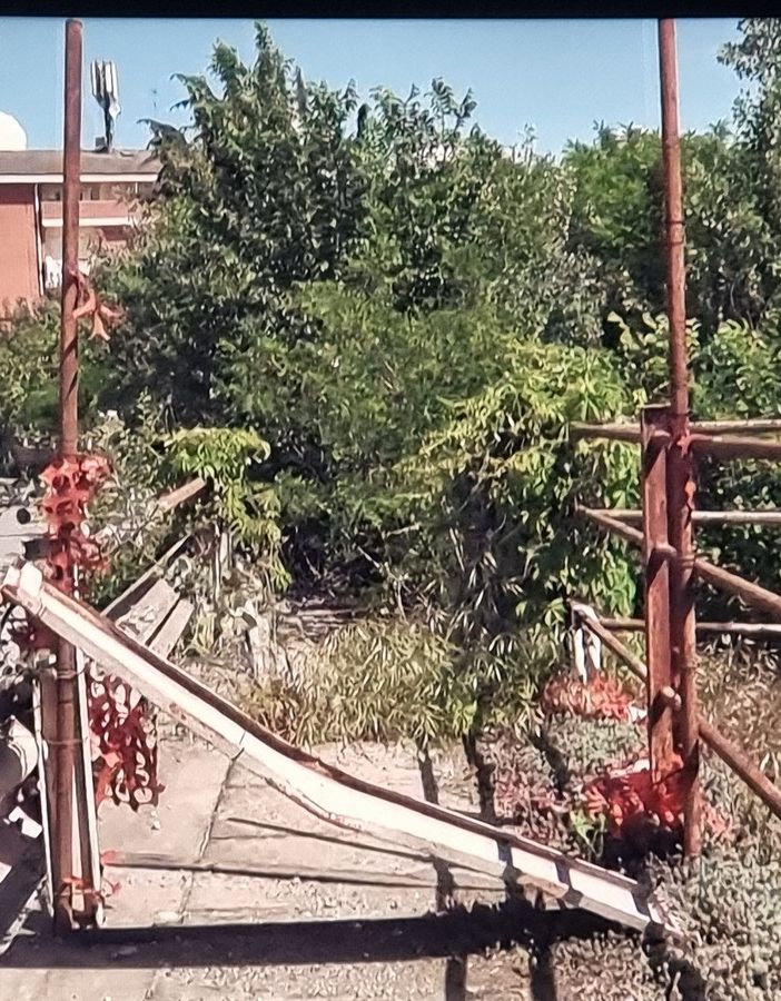 Alcuni frame del servizio andato in onda questa sera