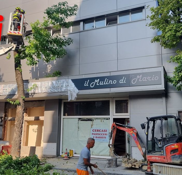 Corso Savona chiuso al traffico per l'abbattimento di un albero [FOTO]